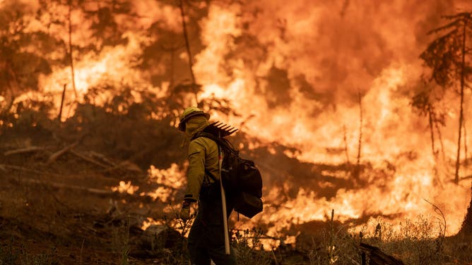 CHICO, CALIFORNIA - JULY 28: Flames quickly grow as firefighters set a backfire on the eastern front of the Park Fire, which has grown to 360,141 acres and is 12 percent contained, on July 28, 2024 near Chico, California. Strong winds and dried vegetation fueled the fire that exploded 70,000 acres in the first 24 hours after a man allegedly pushed a burning car into a ravine to intentionally set the blaze. In 2018, more than 18,000 structures were destroyed and 85 people killed in the nearby town of Paradise when the Camp Fire entrapped thousand of people and became the deadliest and most destructive fire in California history. (Photo by David McNew/Getty Images)