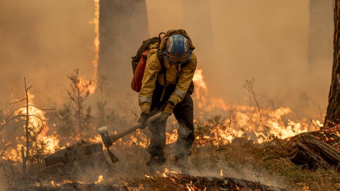 CHICO, CALIFORNIA - JULY 28: Flames quickly grow as firefighters set a backfire on the eastern front of the Park Fire, which has grown to 360,141 acres and is 12 percent contained, on July 28, 2024 near Chico, California. Strong winds and dried vegetation fueled the fire that exploded 70,000 acres in the first 24 hours after a man allegedly pushed a burning car into a ravine to intentionally set the blaze. In 2018, more than 18,000 structures were destroyed and 85 people killed in the nearby town of Paradise when the Camp Fire entrapped thousand of people and became the deadliest and most destructive fire in California history. (Photo by David McNew/Getty Images)