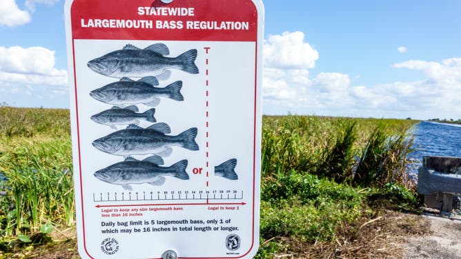 Florida, Francis S. Taylor Wildlife Management Area, fishing regulations sign