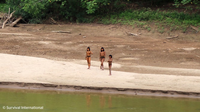 A photo shared by the indigenous rights group Survival International shows dozens of people from the Mashco Piro tribe recently seen on a riverbank near Monte Salvado — a village of the Yine people – in southeast Peru.