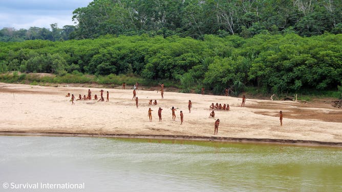 A photo shared by the indigenous rights group Survival International shows dozens of people from the Mashco Piro tribe recently seen on a riverbank near Monte Salvado — a village of the Yine people – in southeast Peru.