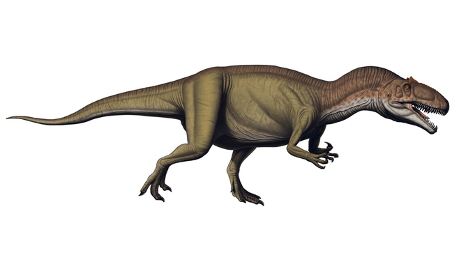 A type of Allosaur.