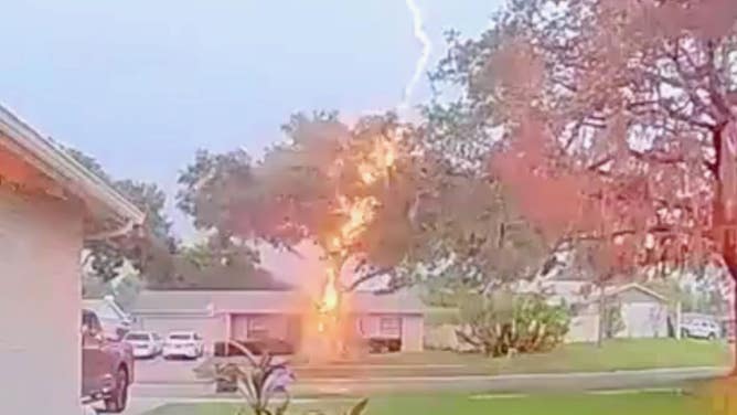 Lightning strike in Valrico, Florida. 