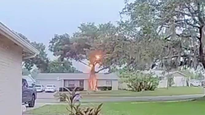 Lightning strike in Valrico, Florida. 