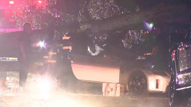 One person was killed when a tree fell on their car in the 5700 block of Vaughn Road in Canton on July 30, 2024. (FOX 5)