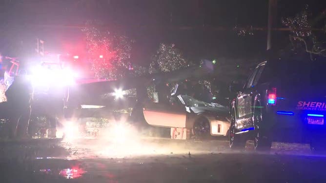 One person was killed when a tree fell on their car in the 5700 block of Vaughn Road in Canton on July 30, 2024. (FOX 5)