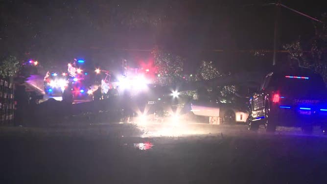One person was killed when a tree fell on their car in the 5700 block of Vaughn Road in Canton on July 30, 2024. (FOX 5)