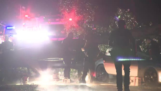 One person was killed when a tree fell on their car in the 5700 block of Vaughn Road in Canton on July 30, 2024. (FOX 5)