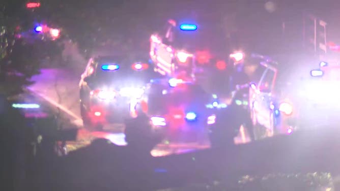 One person was killed when a tree fell on their car in the 5700 block of Vaughn Road in Canton on July 30, 2024. (FOX 5)