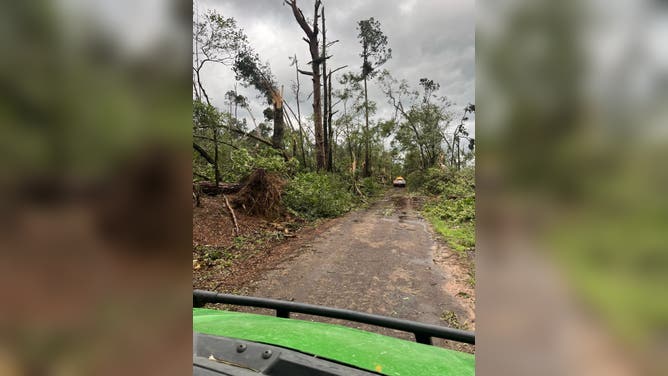 Photos from Mansfield, Louisiana showed damage from a tornado that hit the town on Monday. Several structures appeared to have damage and trees were knocked down onto roadways.