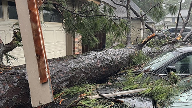 Tree falls in Spring, Texas
