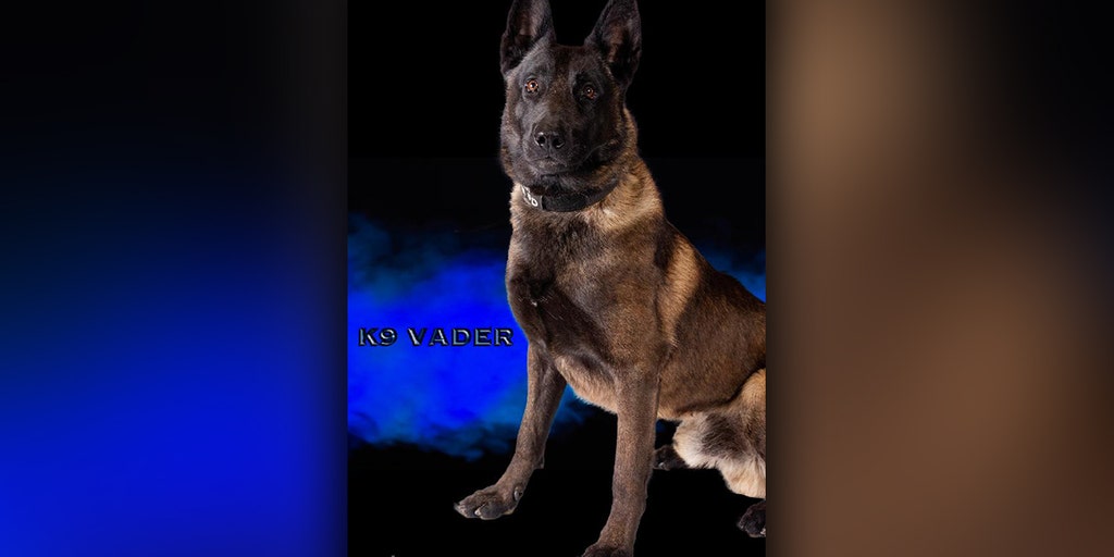 Missouri police dog dies in hot patrol car after air conditioner