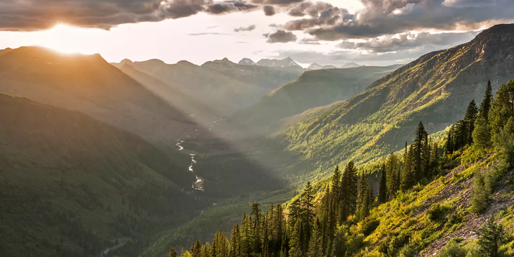 ARE ALL NATIONAL PARKS FREE TOMORROW visual data 7