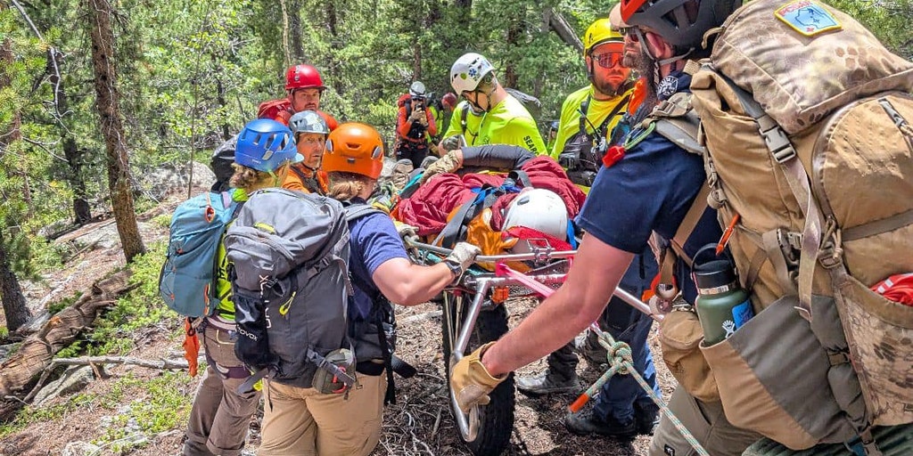 Hiker rescued after left abandoned by coworkers during office retreat ...