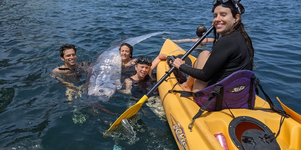 ‘Doomsday fish’ found dead off the coast of Southern California Fox