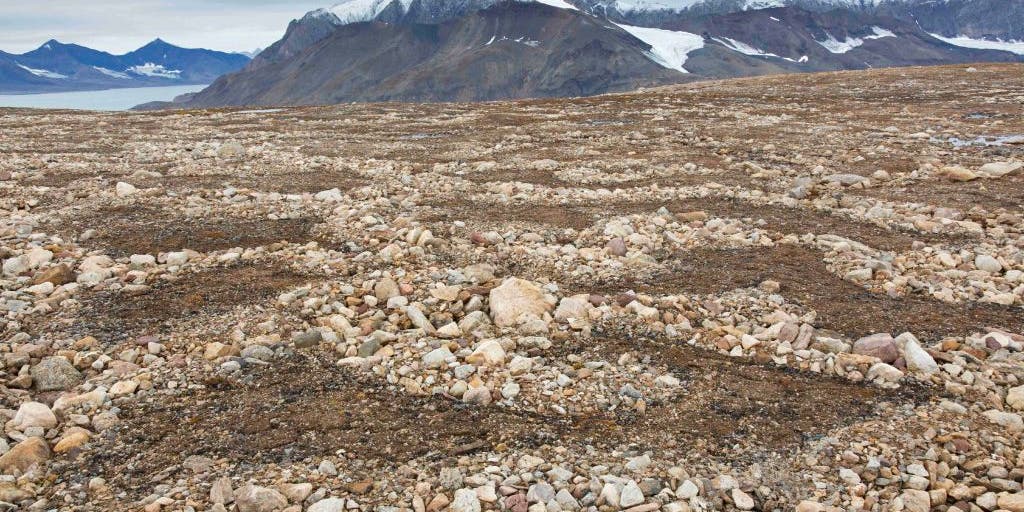 Researchers warn: “Mercury bomb” threatens food chain due to thaw in the Arctic