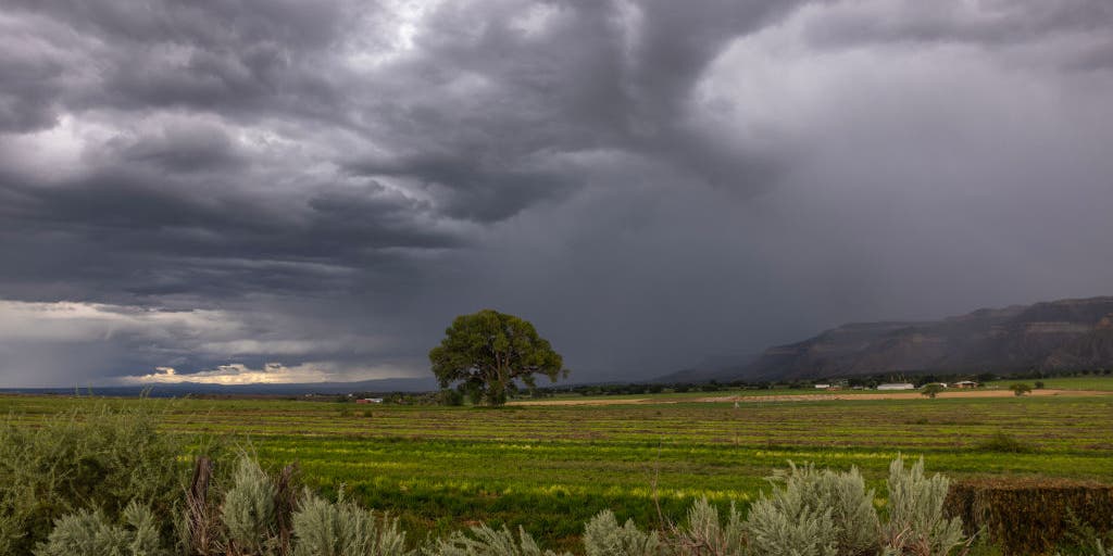 Arizona National Guard rescues more than 100 from flash flooding along