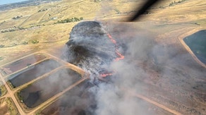 Electrocuted birds spark quick-moving brush fire near Denver water treatment plant