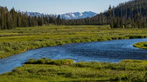 Snow in August? Signals around Yellowstone indicate season changes