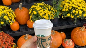 Pumpkin spice season watch: When you can buy your favorite autumn drinks and treats at local stores