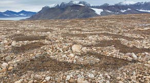 ‘Mercury bomb’ threatens food chain as Arctic thaws, researchers warn