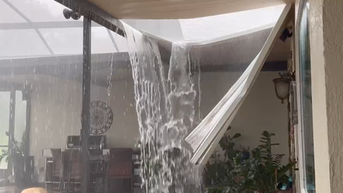 Florida home pool cover collapses from heavy rain from Debby - Fox News