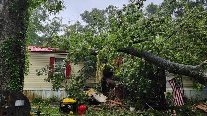 A 13-year-old boy was also killed about 8 a.m. Monday after a tree fell on a mobile home in Levy County.