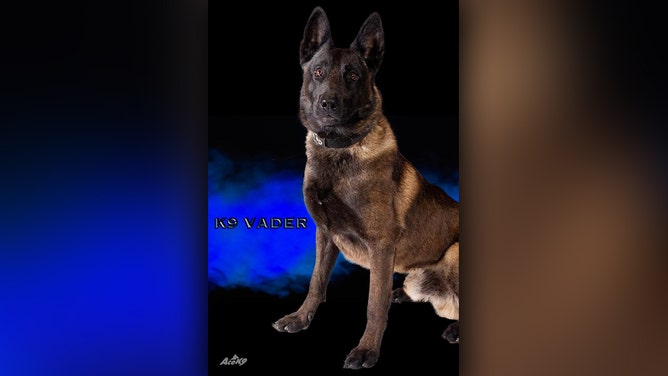 The Arnold Police Department said 4-year-old Vader, passed away from heat exhaustion on Wednesday.