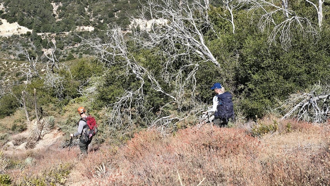 In the search for a missing hiker who was found alive after 30 hours in Angeles National Forest, rescue crews unexpectedly encountered Jay Leno during their search at Newcomb’s Ranch. This happened to be where the former late-night celebrity and his friends had gathered for a drive.