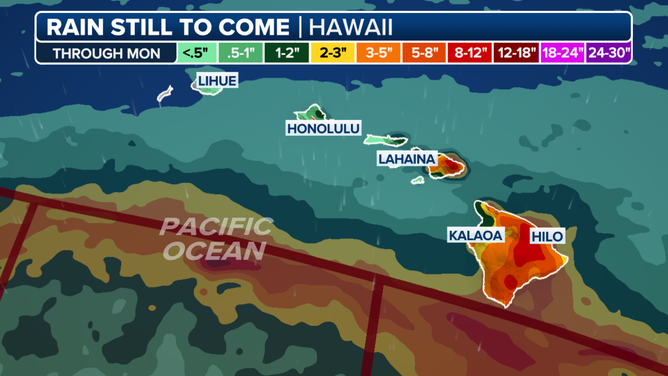 Rain forecast from Hone on Hawaii.