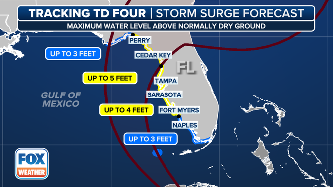 Here's a look at the expected storm surge.