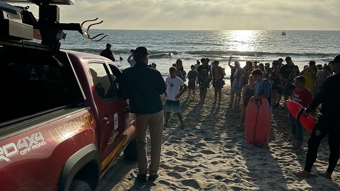 A 51-foot juvenile male fin whale has died after he was stranded on the beach in Torrance on Saturday afternoon.