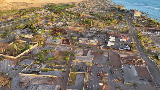 An aerial view of vegetation regrowth amid areas destroyed or damaged by the Lahaina wildfire on August 4, 2024 in Lahaina, Hawaii.