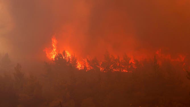 ATHENS, GREECE - AUGUST 12: A wildfire ravages the forest in Dione, near Athens, Greece, on August 12, 2024. A major fire that broke out in the northeastern town of Varnavas in Greece's Attica region on Sunday is still raging, forcing residents of nearly 10 villages to evacuate in the early hours of Monday after many houses were damaged, local media reported. (Photo by Costas Baltas/Anadolu via Getty Images)