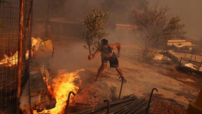ATHENS, GREECE - AUGUST 12: A man uses a branch to extinguish a fire, during a wildfire in Nea Penteli near Athens, Greece, on August 12, 2024. (Photo by Costas Baltas/Anadolu via Getty Images)