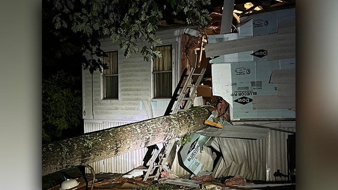 A Brown Summit, North Carolina, woman died Thursday night when a tree fell on her home, the Rockingham County Sheriff's Office said.