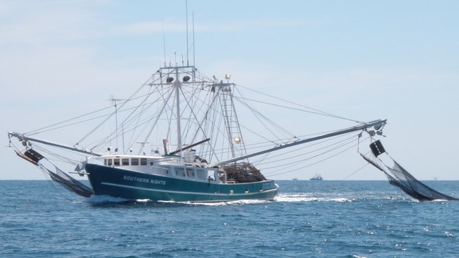 A shrimp boat trawls for shrimp in the Gulf of Mexico. 