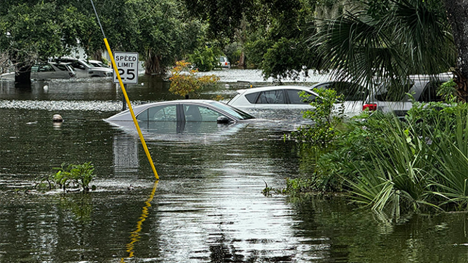 This image shows cars under water because of major flooding in Sarasota, Florida, from Tropical Storm Debby.