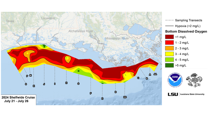 Long-term measured size of the hypoxic zone (green bars) measured during the ship surveys since 1985, including the target goal established by the Mississippi River/Gulf of Mexico Watershed Nutrient Task Force and the 5-year average measured size (black dashed lines).