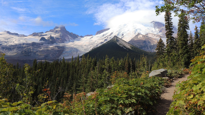 Mount Rainier and Little Tahoma from the Glacier Basin Trail in the White River area.