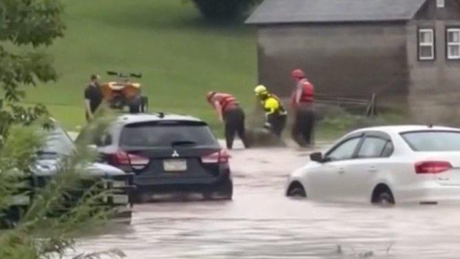 The dog being brought out of the floodwater.