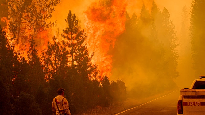 A firefighter watches a spot fire light up across State Road 172 during the Park fire in Tehama County's Mill Creek area of California August 7, 2024.