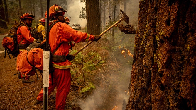 Inmate firefighters battle the Park Fire as it burns on August 7, 2024 in Mill Creek, California.