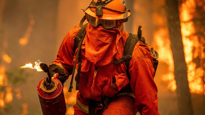 An inmate firefighter uses a drip torch as the Park Fire burns on August 7, 2024 in Mill Creek, California.
