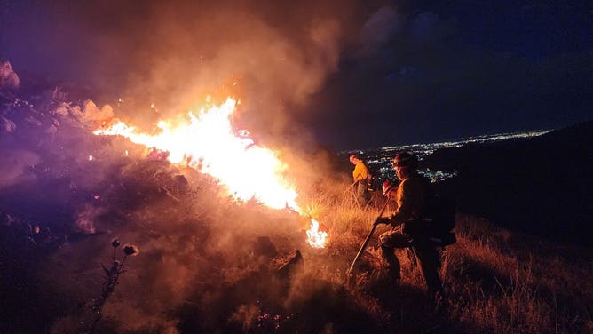 The Goltra Fire burning west of Golden, Colorado on Aug. 20, 2024.