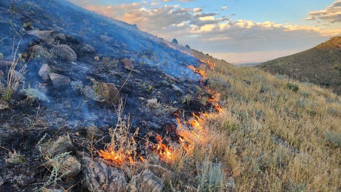 The Goltra Fire burning west of Golden, Colorado on Aug. 20, 2024.