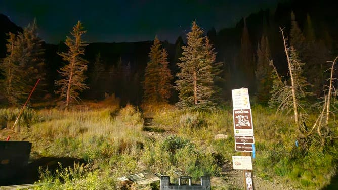 Mill D North Fork Trail area of Big Cottonwood Canyon.