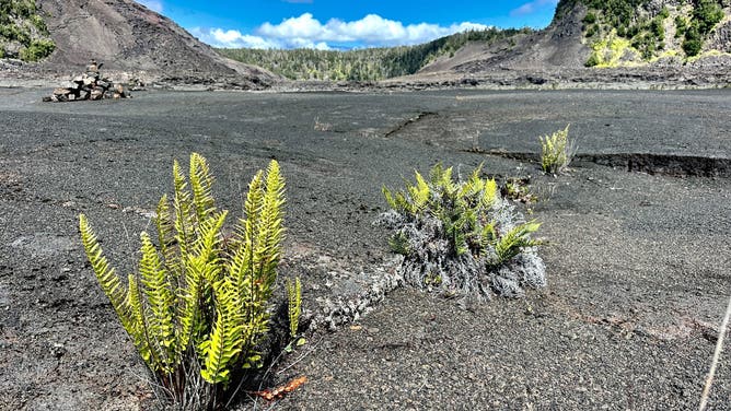 Mt. Kilauea in Hawaii Volcanoes National Park