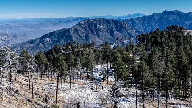 Chiricahua Mountains.