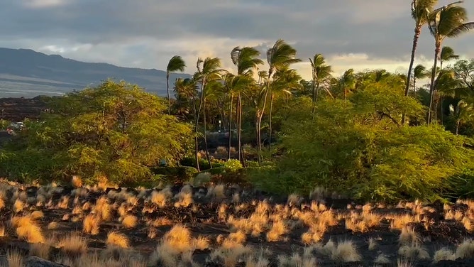 As Hawaii prepares for Tropical Storm Hone's impact, FOX Weather Correspondent Robert Ray has made his way to the Hawaiian Islands ahead of the storm. Here's a look at his journey there.